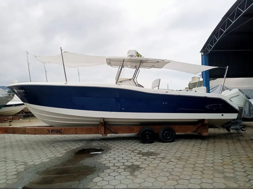 2020 Fishing 320CC