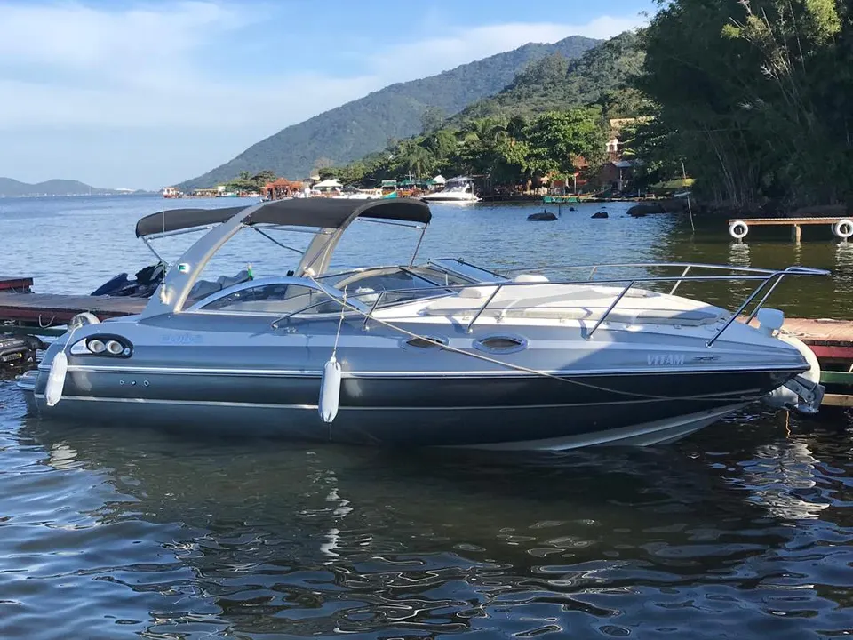 2014 Evolve 265